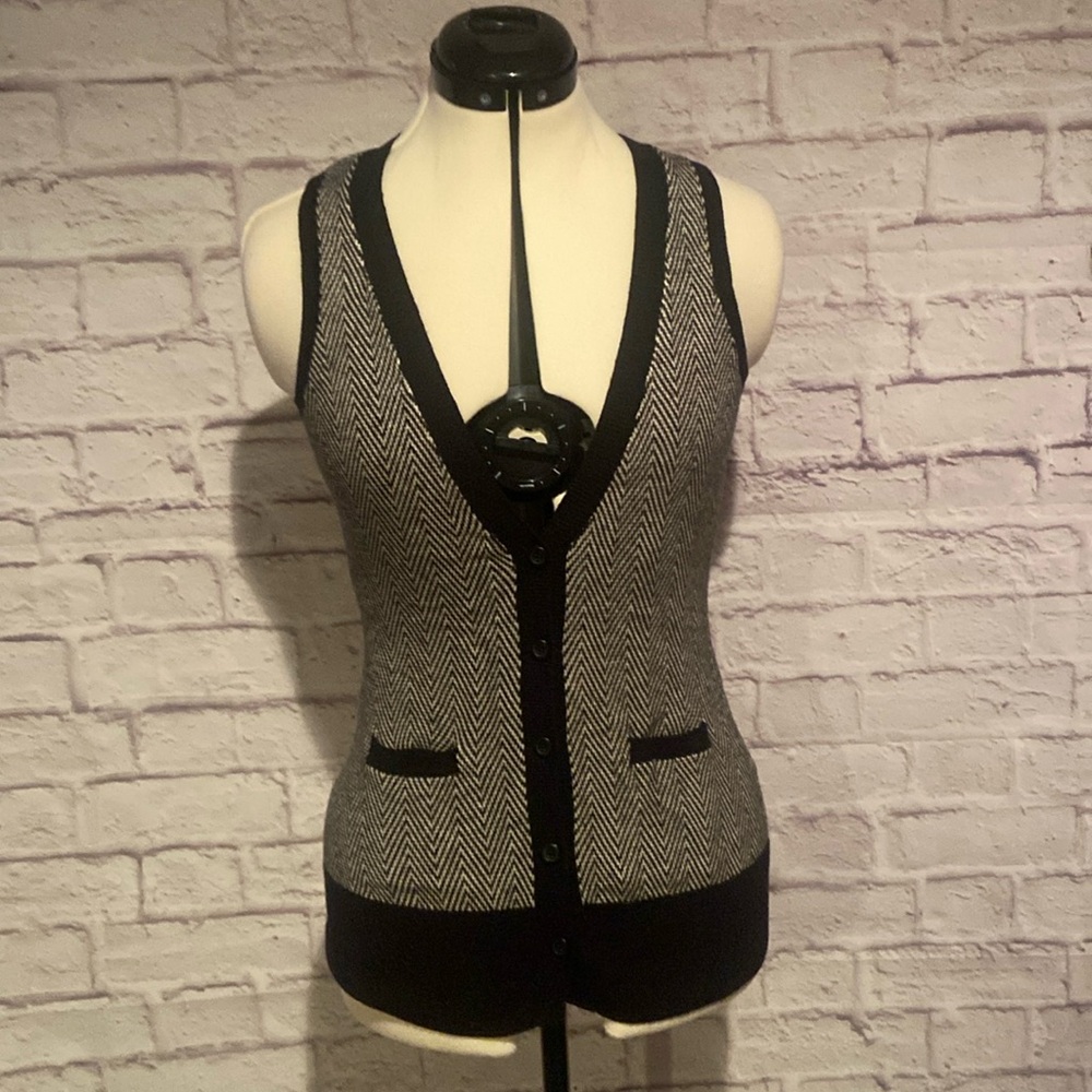 Express Sweater Vest
